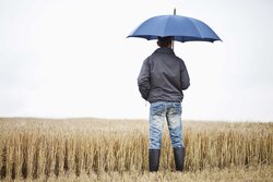 Agricultural policy instruments to support farm level risk management