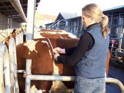 Wissenstandsanalyse Tiergesundheit