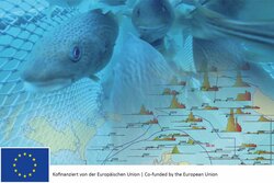 Processing of German fisheries data for use in stock assessment of commercially used stocks in the Baltic Sea
