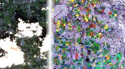 Automatische Bestimmung von Nutzungsintensitäten im Grünland mittels Satellitenbildzeitreihen
