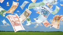 Distributional effects of CAP liberalisation