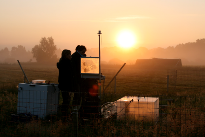 Die Messung von Tagesgängen der Kohlenstoffdioxid-Flüsse mit manuellen Hauben startet vor Sonnenaufgang (Großes Moor bei Gifhorn, 04:45 Uhr). Die Messung von Tagesgängen der Kohlenstoffdioxid-Flüsse mit manuellen Hauben startet vor Sonnenaufgang (Großes Moor bei Gifhorn, 04:45 Uhr).