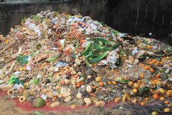 Less is more: reducing food losses and waste