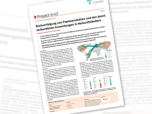 Eine Abbildung des Project brief, soft im Hintergrund Ausschnitte von anderen Project brief.
