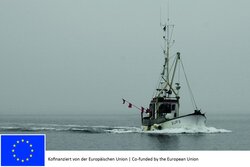 What is the catch of gillnet fishermen?