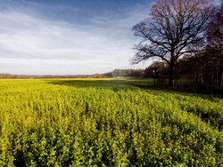 ALL-Ready - The European Agroecology Living Lab and Research Infrastructure Network: Preparation phase