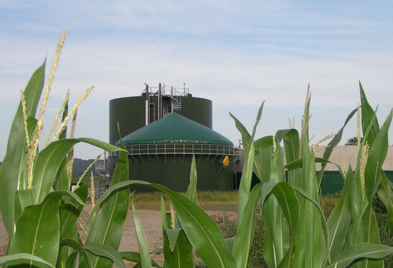 Biogaserzeugung in Deutschland