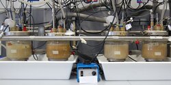 Biotechnological production of Itaconic acid