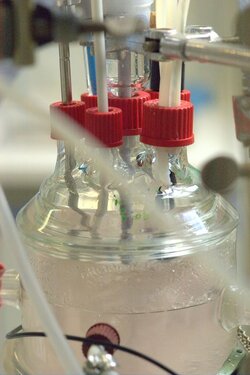 Catalysis in Biorefineries